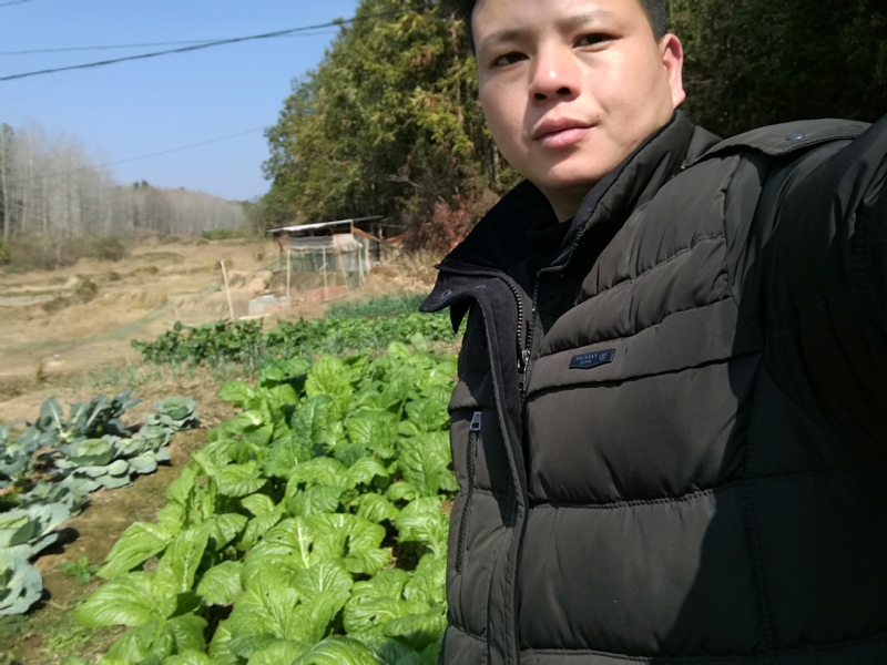 倔强的驴的第一张照片--浦城相亲网