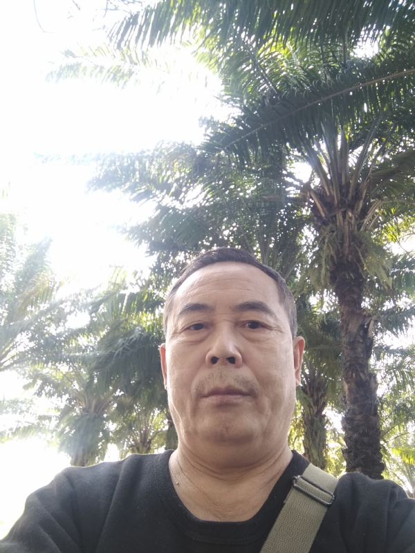 重振雄风的第二张照片--浦城相亲网