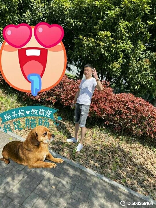 我若不坚强谁替我勇敢的第五张照片--浦城相亲网